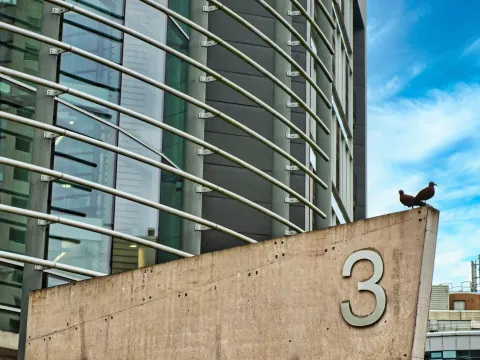 StockSnap_L8OAO8UB1Y